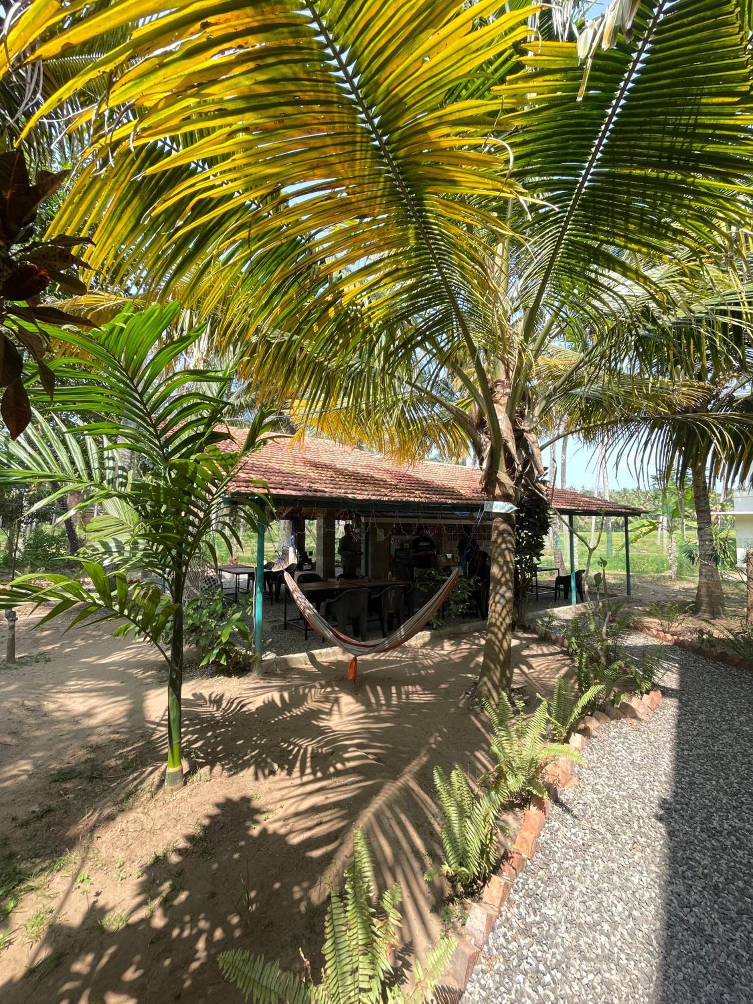 Albergue Cliff & Coral Varkala Exterior foto